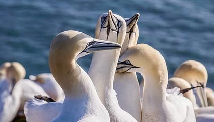 开云体育官网下载-足球教育：青训体系对联赛水平的影响，足球青训项目