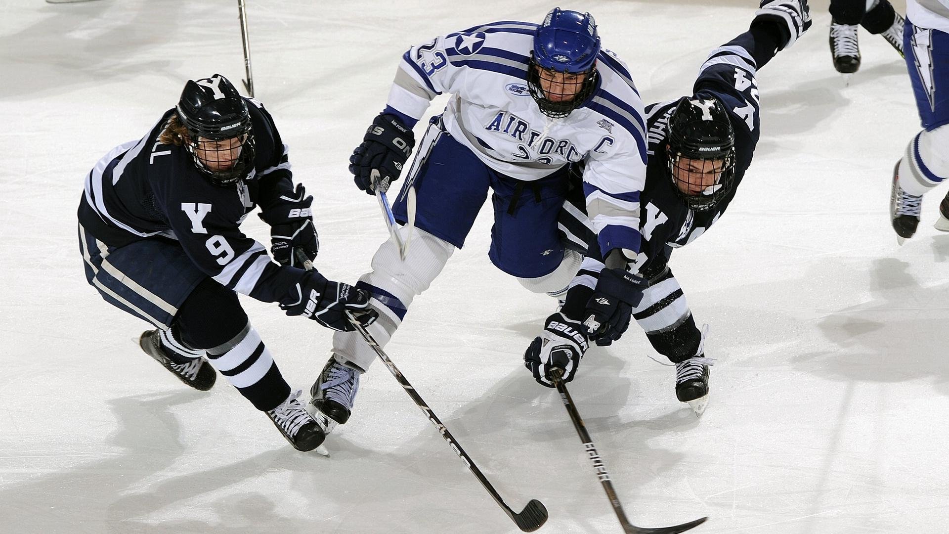 体育新闻中心发布体育数据可视化应用白皮书,体育数据统计